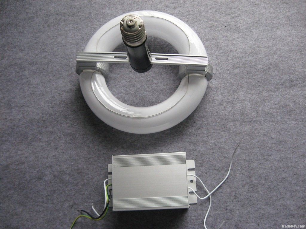 E40 base Low frequency round shape induction lamp 40W~300W