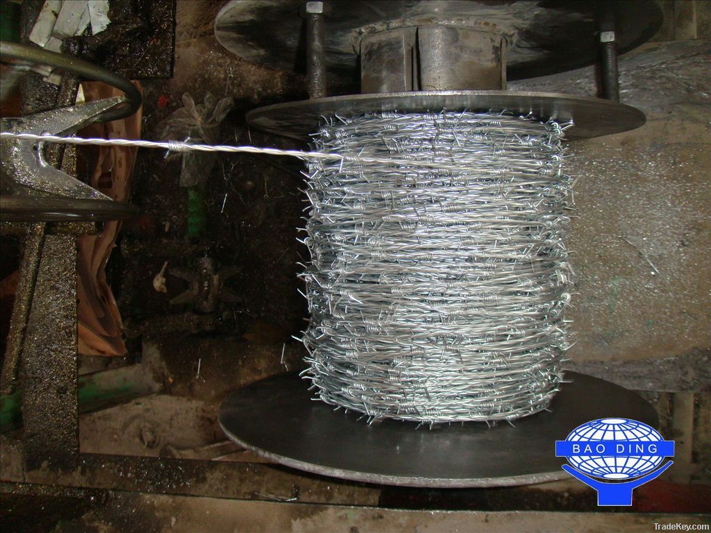 Electric galvanized barbed wire pvc coated barb