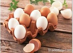 egg box machine