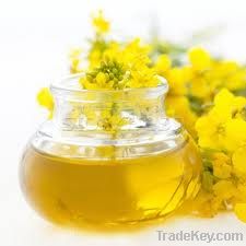 rapeseed oil