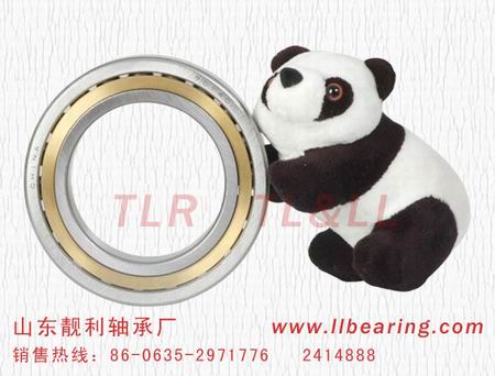 cylindrical rolle bearing