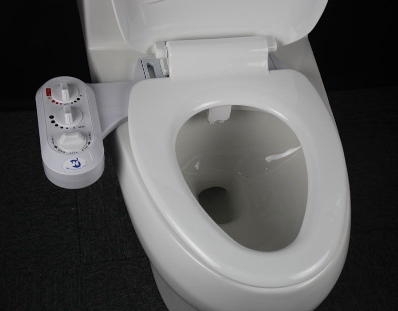 Sanitary toilet bidet