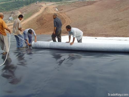 Geomembrane