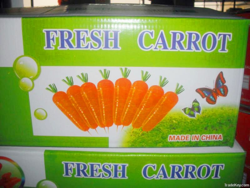 fresh carrot