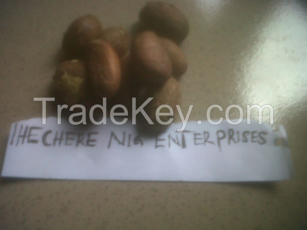 Garnicia Kola Nut