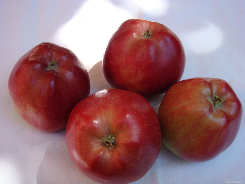 Red Delicious