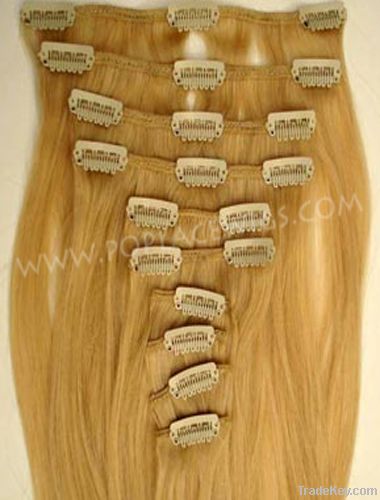 Clip Hair Extensions