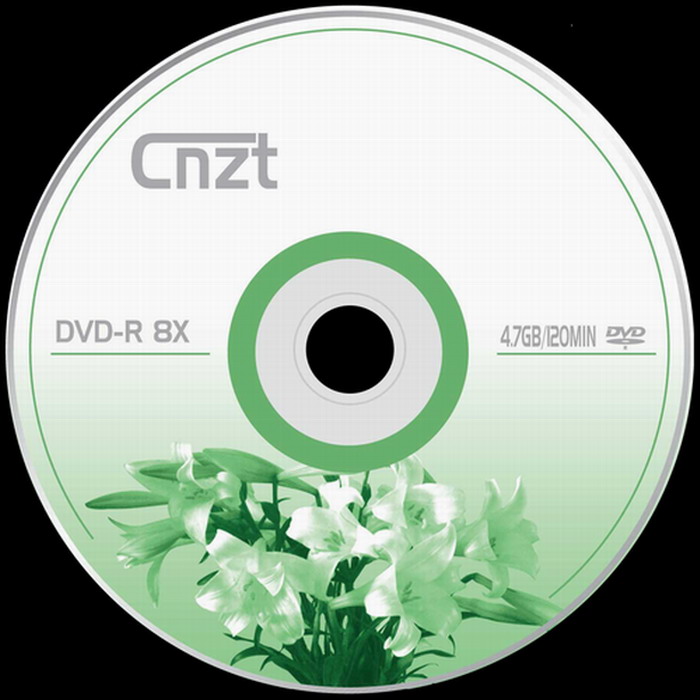 DVD-R DISK