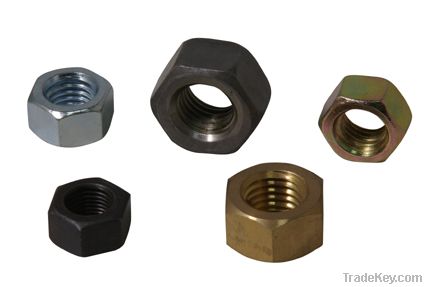 supply different types of nuts