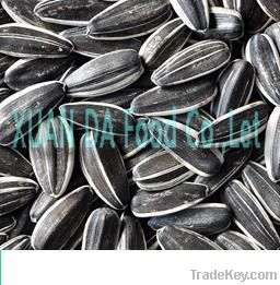 2012  long type sunflower seeds 5009