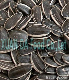 2012 round type sunflower seeds 5135