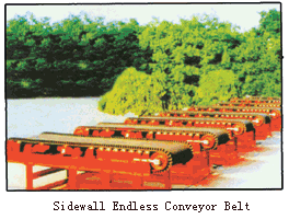 Endless Conveyor Belt