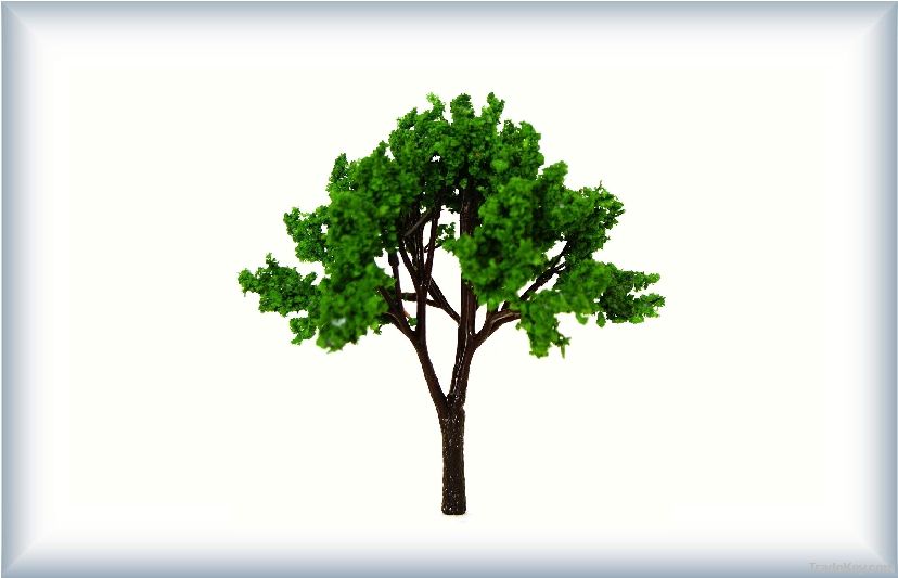 model treemarchitectural model tree, scale tree