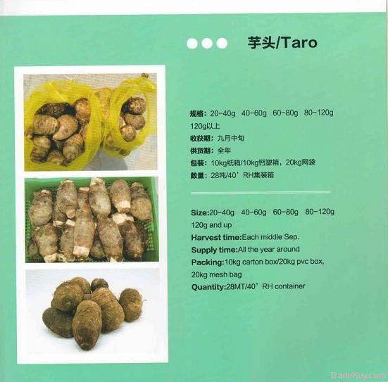 芋头/Taro