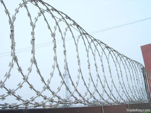 razor barbed wire (factory)