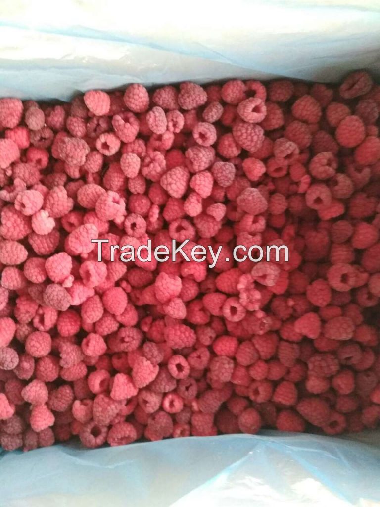 IQF frozen raspberry
