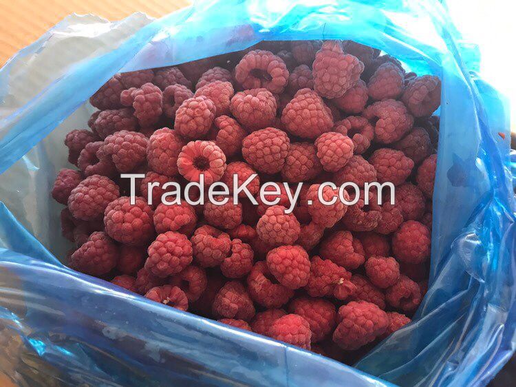 IQF frozen raspberry