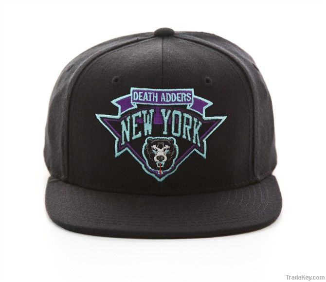 Embroidery baseball cap, sport snapback hat