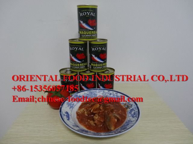 High quality canned mackerel in tomato sauce