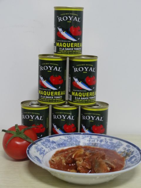 High quality canned mackerel in tomato sauce