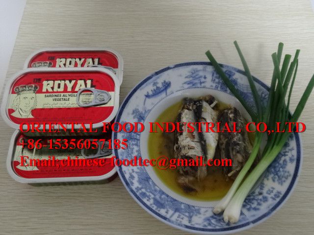 High quality canned sardine in oil