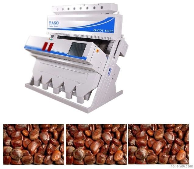 Tamarind Seed Sorting Machine