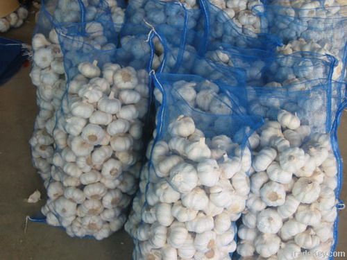 Chinese fresh garlic packed in mesh bag