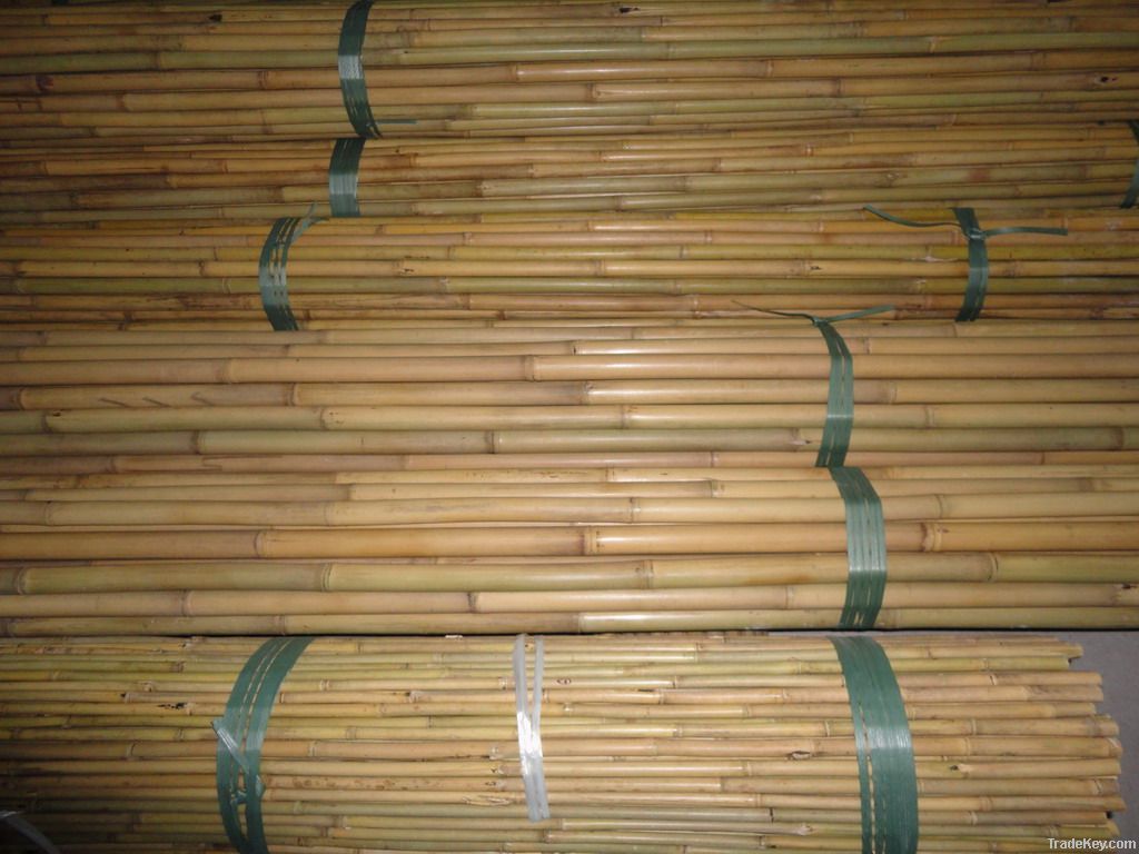 Tonkin bamboo pole