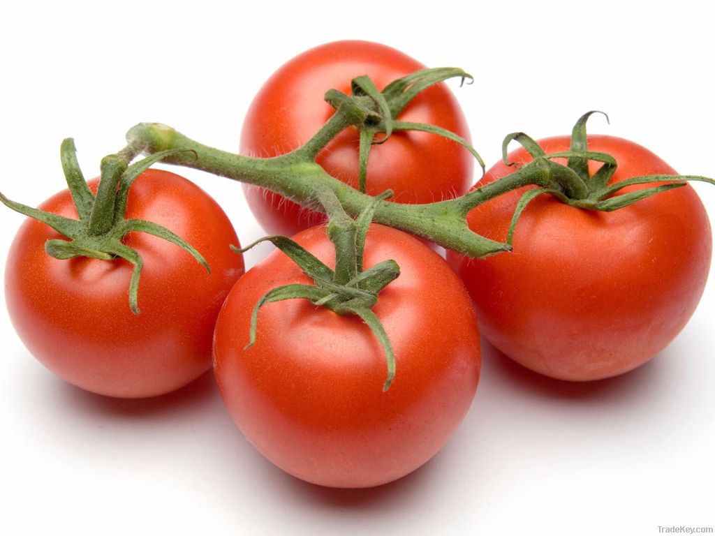 Tomato Fresh And Ready 2 Eat