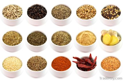 Dry & Fresh Spices or Herbs OEM Large Quantity