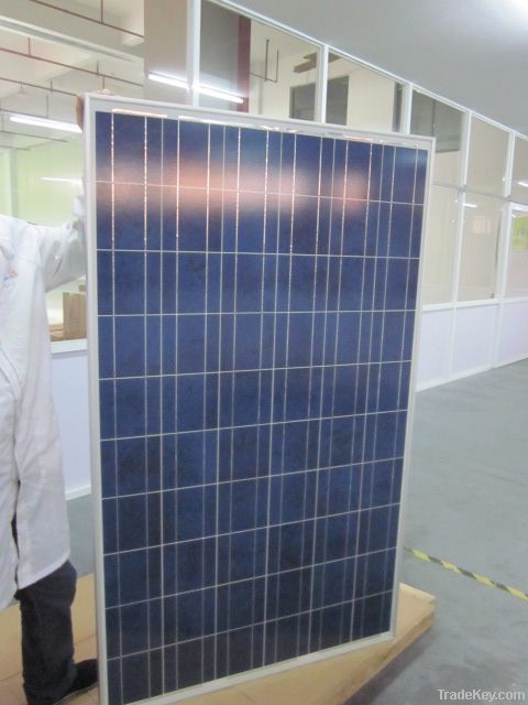 230w Poly Solar Panel