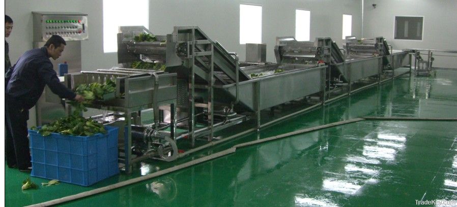 fresh vegetable processing line