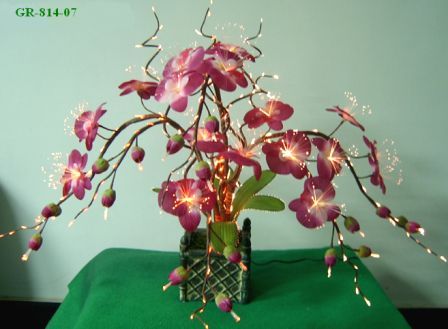 Red Moth Orchid