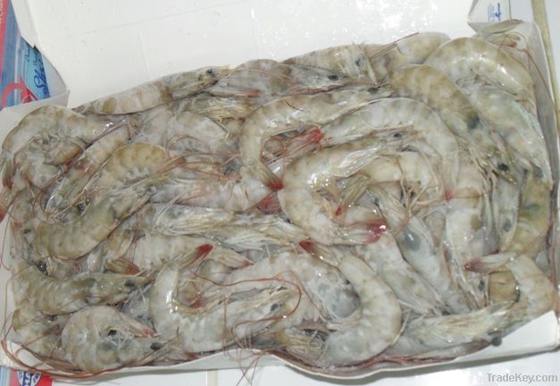 Frozen Shrimp Head On Shell On - Vannamei - 30-40 - ECUADOR