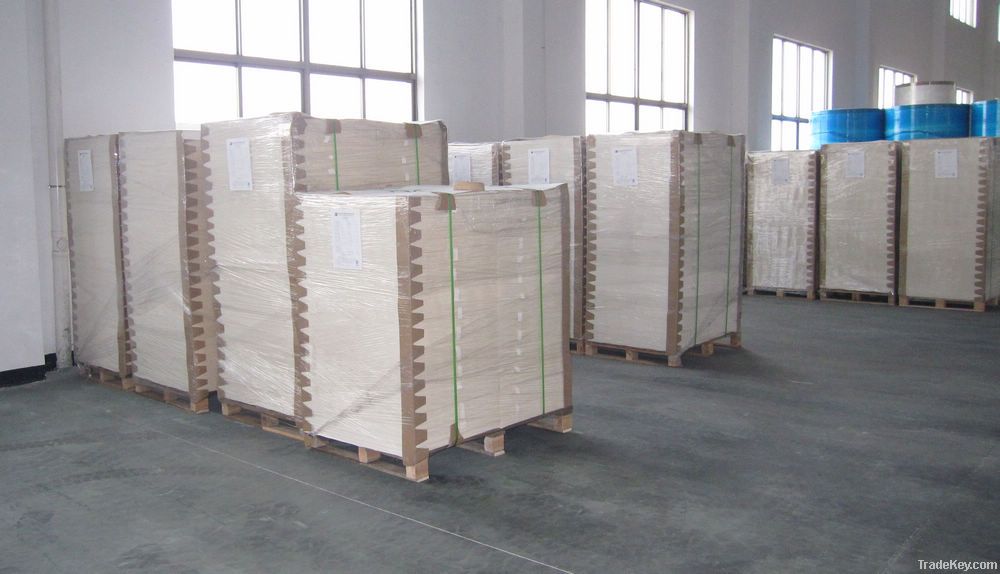 paper cup paper, single PE coated paper