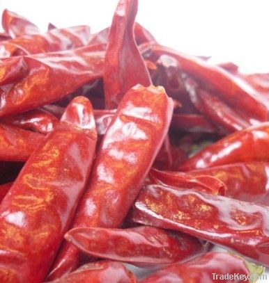 Dried spicy Yidu Chilli