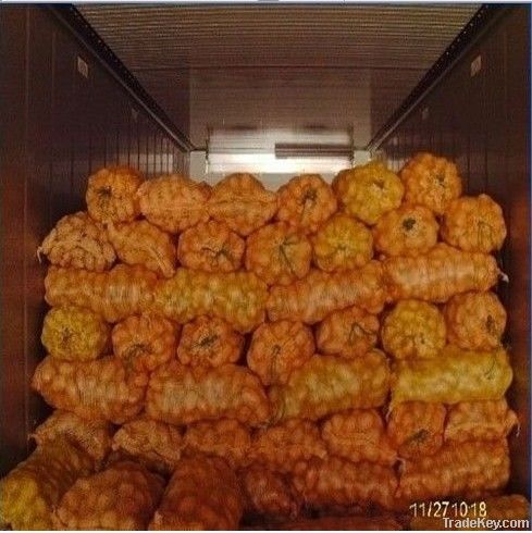 Hot sell 2012 new arrival Holland potato from china