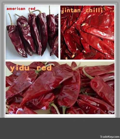 Dried spicy Yidu Chilli