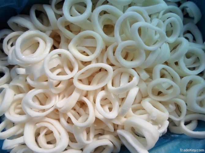 frozen squid tube &ring of todarodes