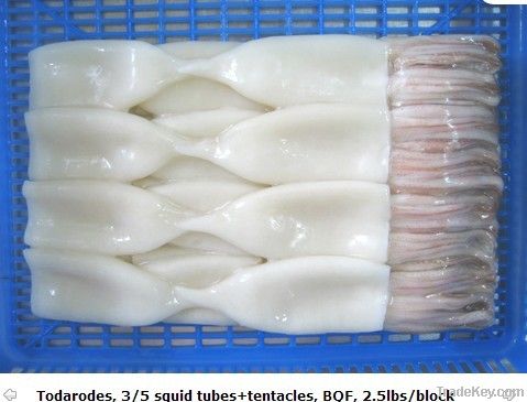 Iqf/bqf Frozen Squid Tube(todarodes)