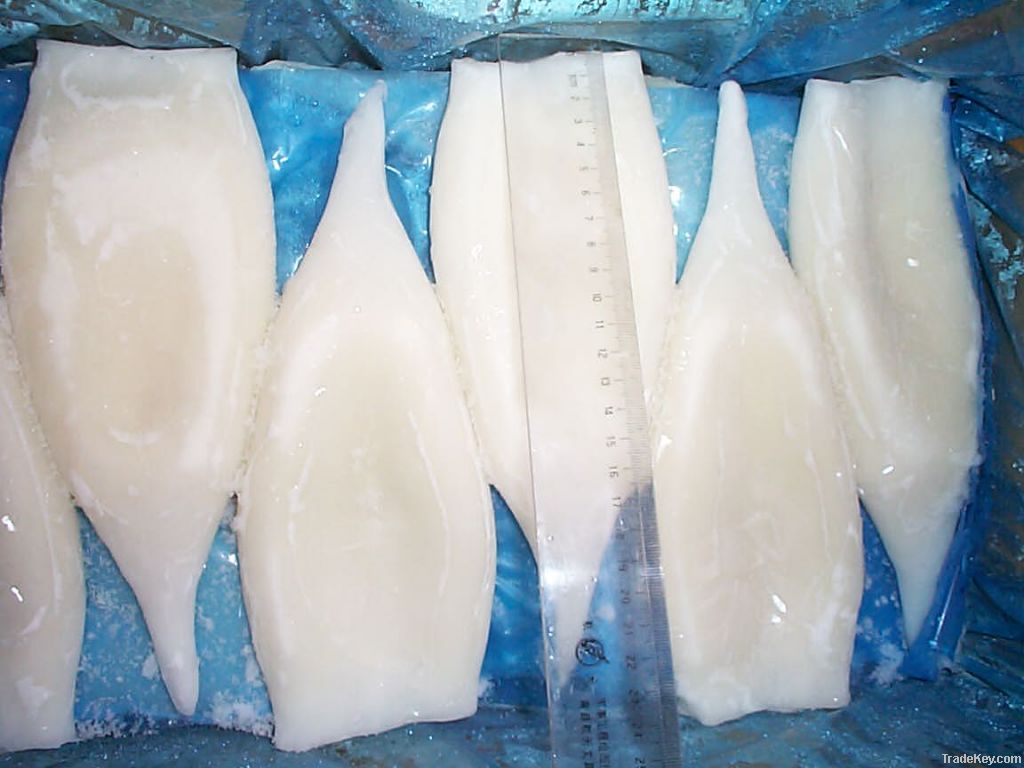 Iqf/bqf Frozen Squid Tube(todarodes)