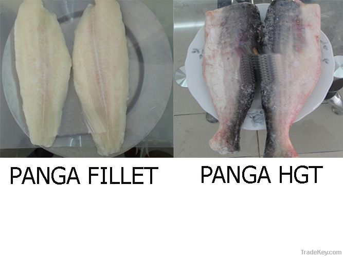 Panga HGT