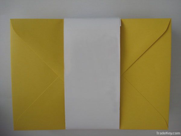 Window Envelope