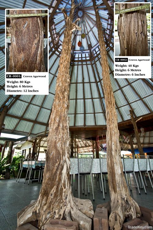 Agarwood tree sculpture for interior decoration