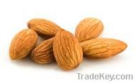 Almond Supplier | Almond Exporter | Almond Manufacturer| Almond Trader | Almond Buyer | Almond Importers | Import Almond