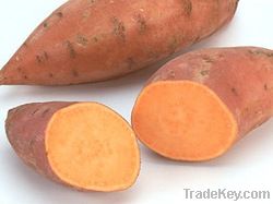 Sweet Potato