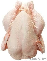 Export Whole Chicken Meat | Chicken Meat Suppliers | Poultry Meat Exporters | Chicken Pieces Traders | Processed Chicken Meat Buyers | Frozen Poultry Meat Wholesalers | Halal Chicken | Low Price Freeze Chicken Wings | Best Buy Chicken Parts | Buy Chicken 