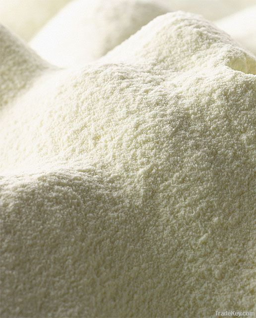 Export Skimmed Milk Powder | Full Cream Milk Powder Suppliers | Skimmed Milk Powder Exporters | Full Cream Milk Powder Traders | Skimmed Milk Powder Buyers | Full Cream Milk Powder Wholesalers | Low Price Skimmed Milk Powder | Full Cream Buy Milk Powder |