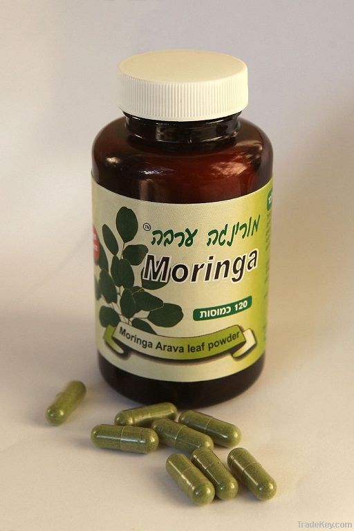 Moringa leaves powder capsules