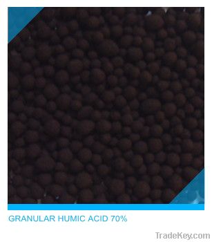 Humic Acid 70